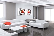 Obrazy do reštaurácie zs376